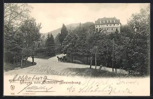 AK Schloss Arensburg, Ortsansicht mit Strasse u. Umgebung