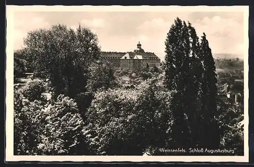 AK Weissenfels, Blick auf Schloss Augustusburg