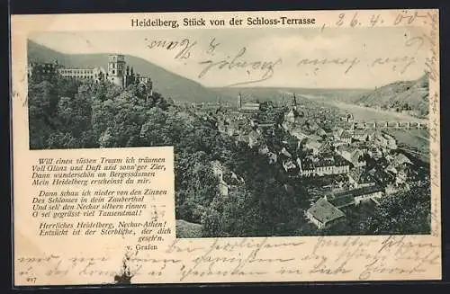 AK Heidelberg, Stück von der Schloss-Terrasse