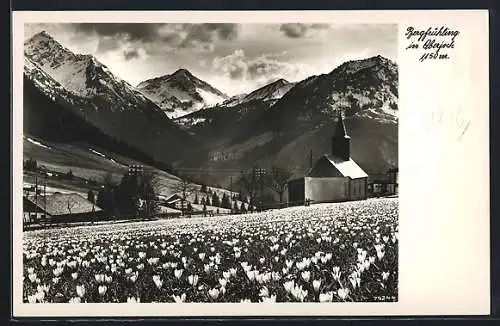 AK Oberjoch am Pass, Panorama mit Breitenberg, Rotspitze, Entschenkopf und Imberger Horn