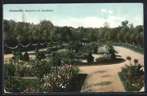 AK Chemnitz, Rosarium im Stadtpark