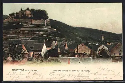 AK Neustadt a. d. Haardt, Haardter Schloss mit Blick auf die Haardt