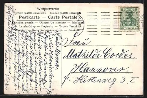 AK Osterküken beobachten eine Fliege