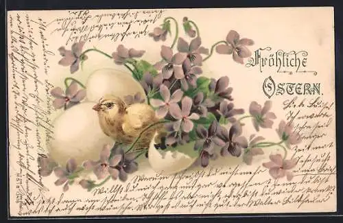 Lithographie Ostern, Veilchen und Küken