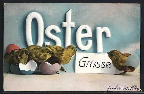 AK Vier schlüpfende Osterküken mit Ostergruss