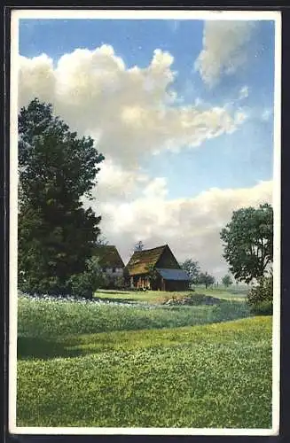 Künstler-AK Photochromie Nr. 5037: Anwesen mit Blumenwiese im Sonnenschein