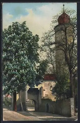 Künstler-AK Photochromie Nr. 1909: Kastanie neben einem Tor, Blick zur Kirche