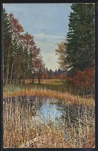 Künstler-AK Photochromie Nr.2155: Partie am Waldteich