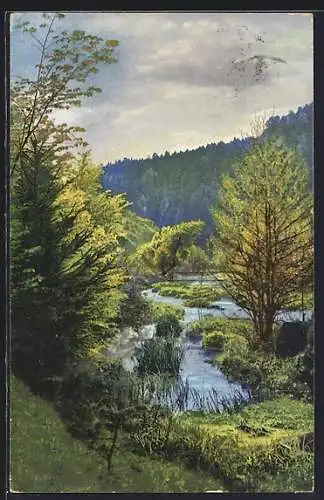 Künstler-AK Photochromie Nr. 4839: Partie am Fluss