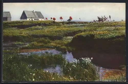 Künstler-AK Photochromie Nr. 107: Hochmoor bei Rübenau, Sommeridyll