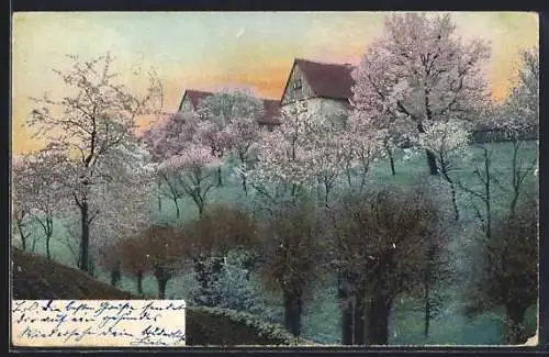 Künstler-AK Photochromie Nr. 1123: Blühende Landschaft