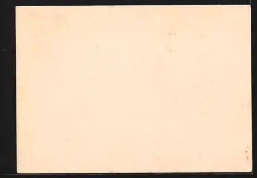 AK WHW Winterhilfswerk 1938 /39, Frau schenkt Suppe aus, Ganzsache
