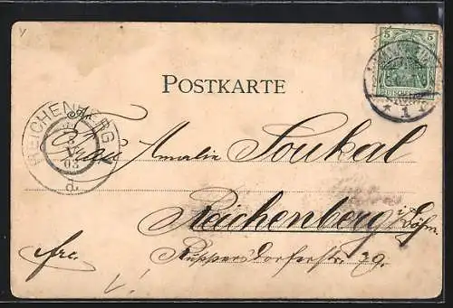 AK Mannheim, Gesamtansicht aus der Vogelschau