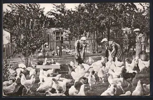 AK Arvedshof, Haus- und landwirtschaftliche Frauenschule-Geflügelzucht