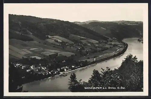 AK Wesenufer a. d. Donau, Gesamtansicht von einen Berg aus