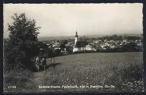 AK Peuerbach /Ob.-Oe., Gesamtansicht von einer Anhöhe aus