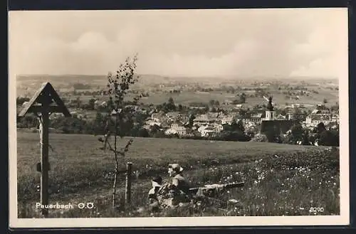 AK Peuerbach /O.-Ö., Totalansicht von einen Berg aus