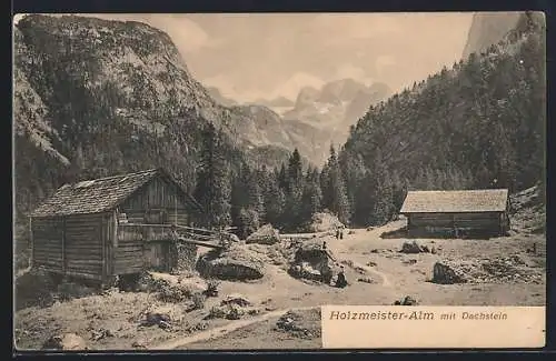 AK Gosau, Holzmeister-Alm mit Dachstein