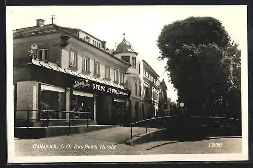 AK Gallspach /O. Ö., Kaufhaus Herold