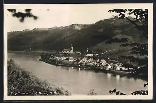 AK Engelhartszell /O.-Oe., Ortsansicht mit Donau von einen Berg aus