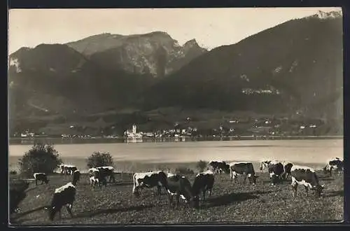 AK St. Wolfgang, Wolfgangsee mit Schafberg