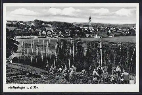 AK Pfaffenhofen a. d. Ilm, Bauern bei der Hopfenernte mit Blick zum Ort