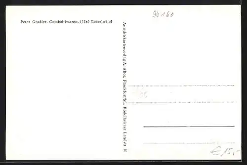 AK Geiselwind, Strassenpartie, Fachwerkhäuser, Ortsansicht