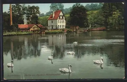 AK Saarbrücken, Deutsch-Mühlenweiher mit Schwänen