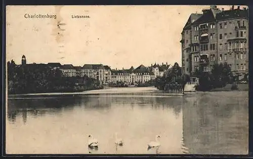 AK Berlin-Charlottenburg, Höckerschwäne am Lietzensee