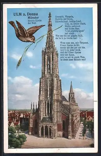 AK Ulm a. D., Blick auf die Münsterkirche