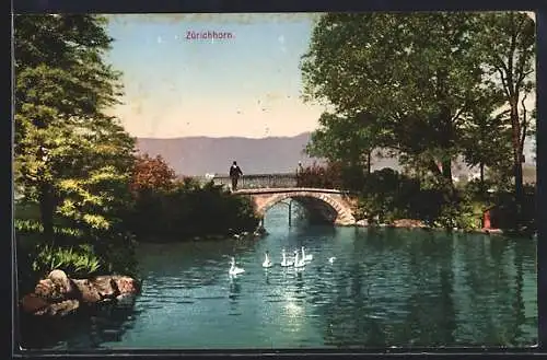 AK Zürichhorn, Idylle am Schwanenteich an der Promenade