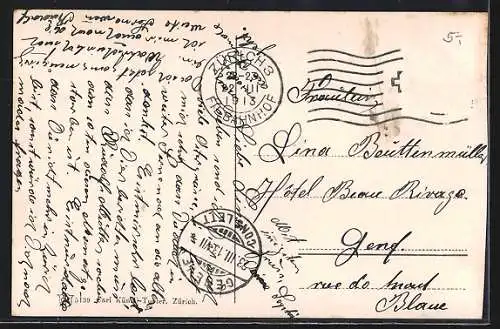 AK Zürichhorn, Idylle am Schwanenteich an der Promenade