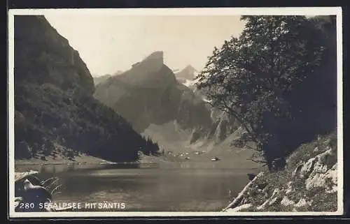 AK Seealpsee, Ortspartie mit Säntis