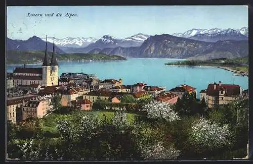 AK Luzern, Teilansicht mit Kirche u. Alpen aus der Vogelschau