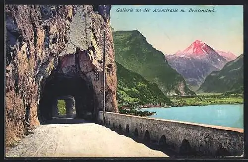 AK Axenstrasse, Felsentunnel mit See und Bristenstock