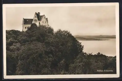 AK Salenstein, Das Schloss mit Seeblick