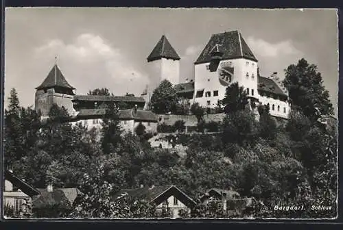 AK Burgdorf, Blick auf das Schloss