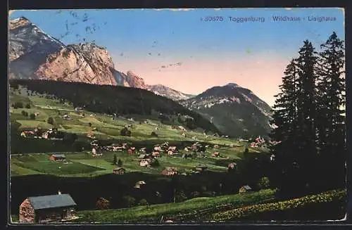 AK Wildhaus /Toggenburg, Ortsansicht mit Umgebung