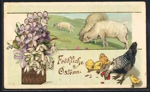 AK Weidende Lämmer, Henne mit Osterküken, Ostergruss