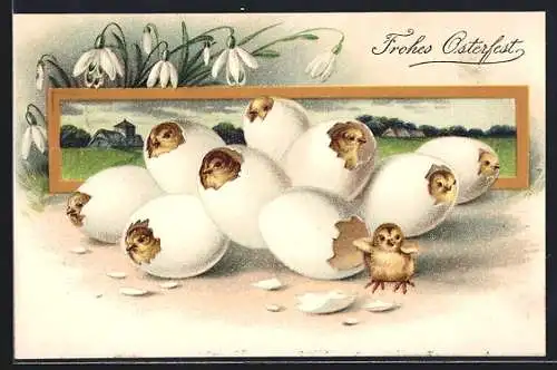 AK Osterküken schlüpfen aus den Ostereiern