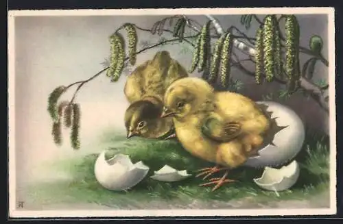 AK Zwei Osterküken schlüpfen aus Eierschalen