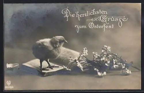 AK Osterküken auf einem aufgeschlagenen Buch