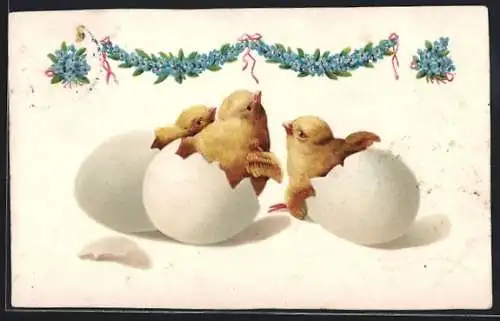 AK Osterküken schlüpfen aus Eiern, Vergissmeinnicht-Girlande