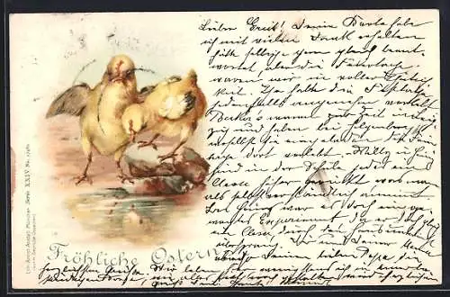 AK Zwei Osterküken am Ufer