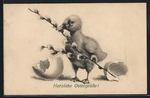 AK Osterküken mit Weidenzweig und Eierschalen
