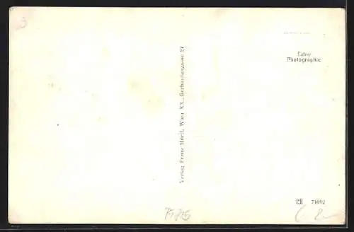 AK Gutau, Totalansicht mit Kirche von einem Acker aus