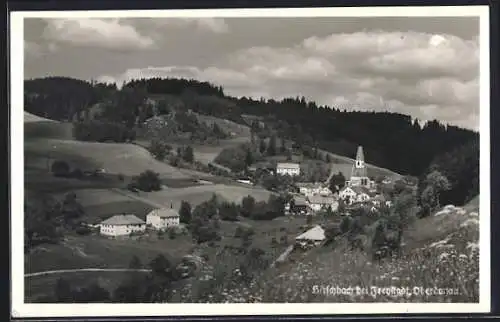 AK Hirschbach bei Freystadt, Ortsansicht mit Feldern