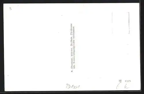 AK Hirschbach bei Freystadt, Ortsansicht mit Feldern