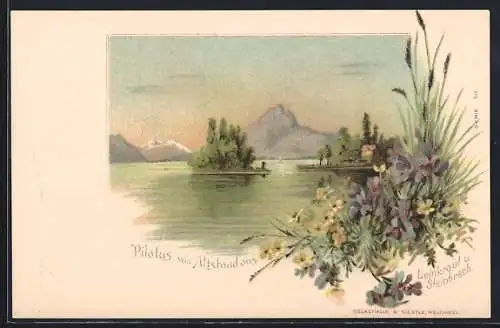 Künstler-AK Altstaad, Pilatus, Leinkraut und Steinbrech