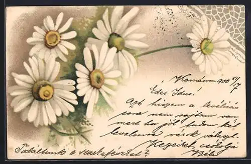 AK Gänseblumen und Ornament